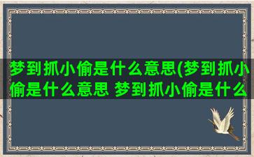 梦到抓小偷是什么意思(梦到抓小偷是什么意思 梦到抓小偷是什么预兆)